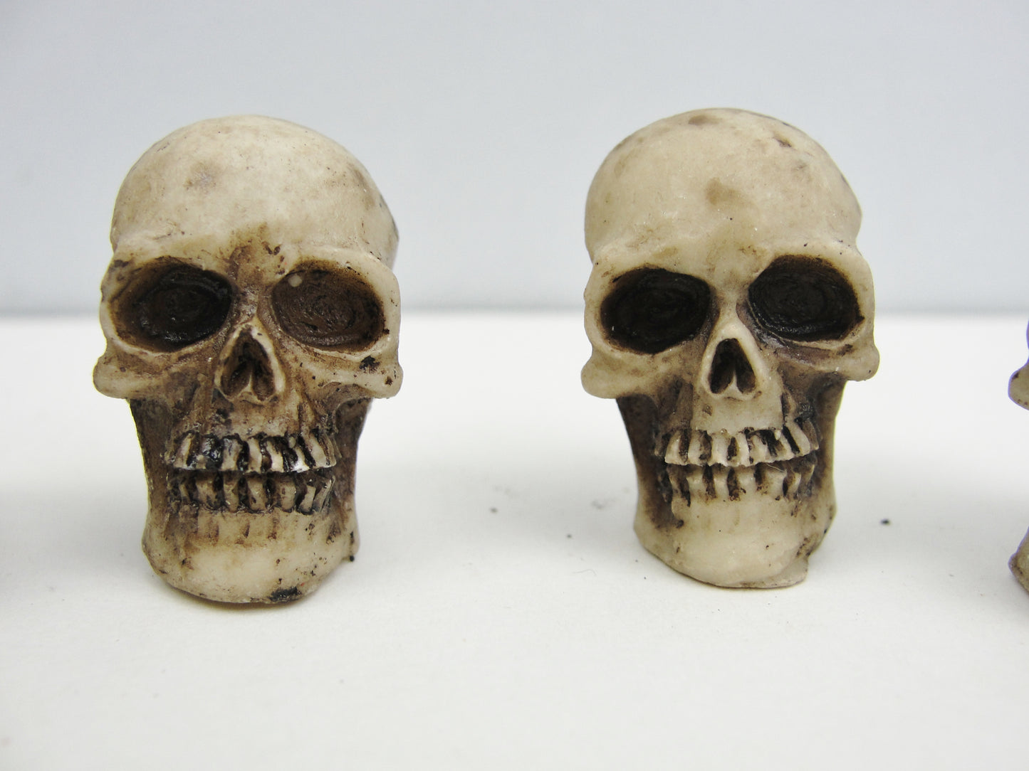 Tim Holtz idea-ology skulls TH94270