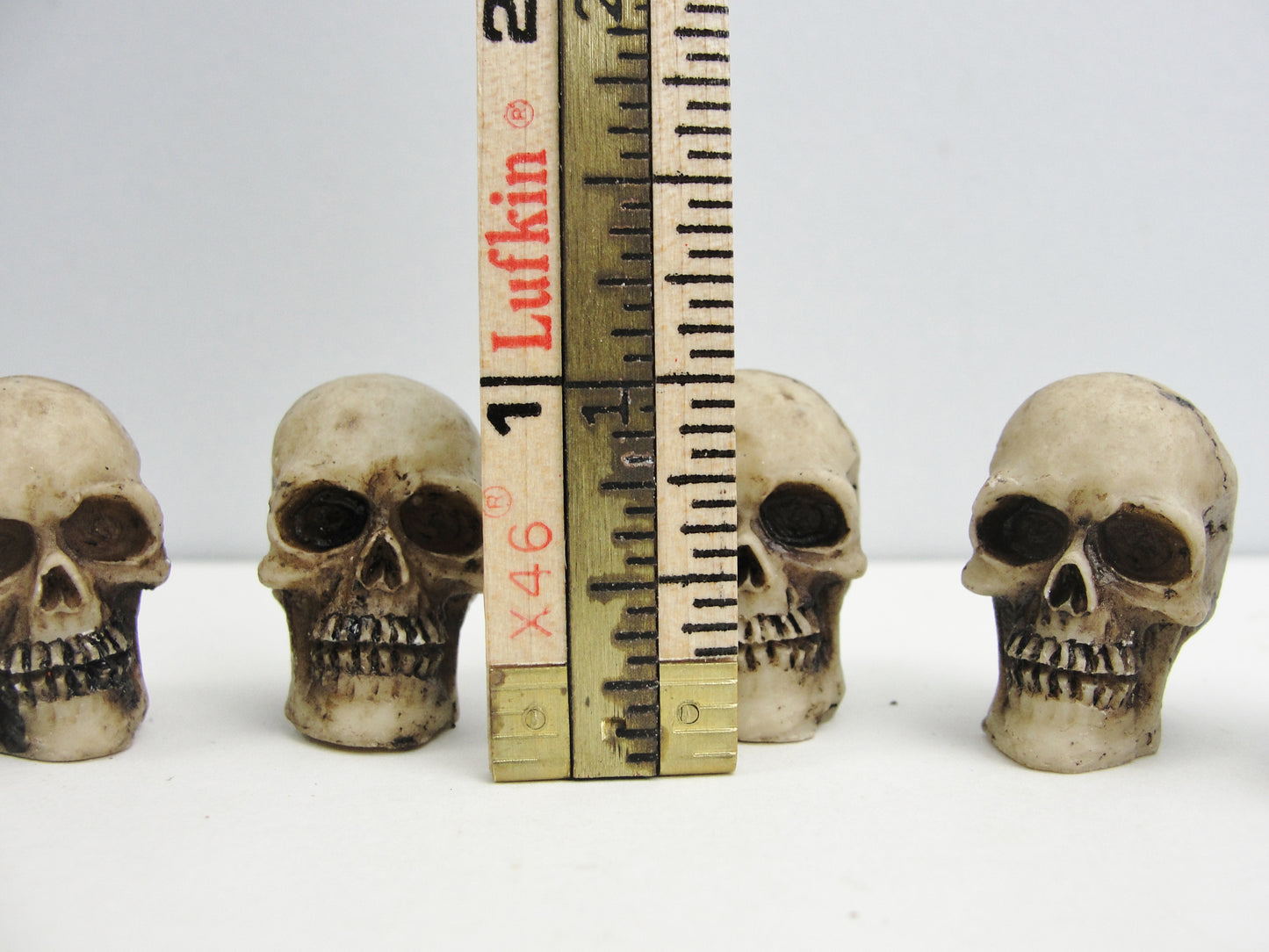 Tim Holtz idea-ology skulls TH94270