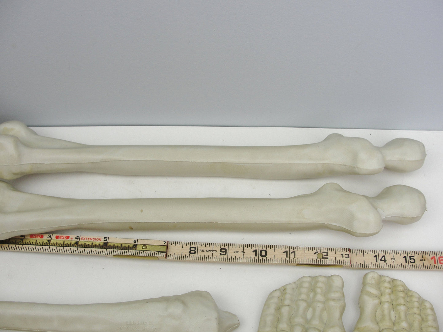 Bag of bones skeleton parts