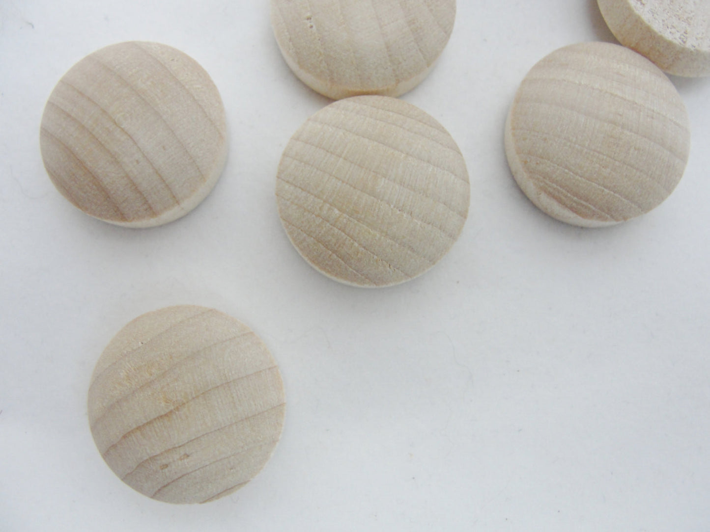 3/4" birch round head Button plug, .75 inch set of 12 - Wood parts - Craft Supply House
