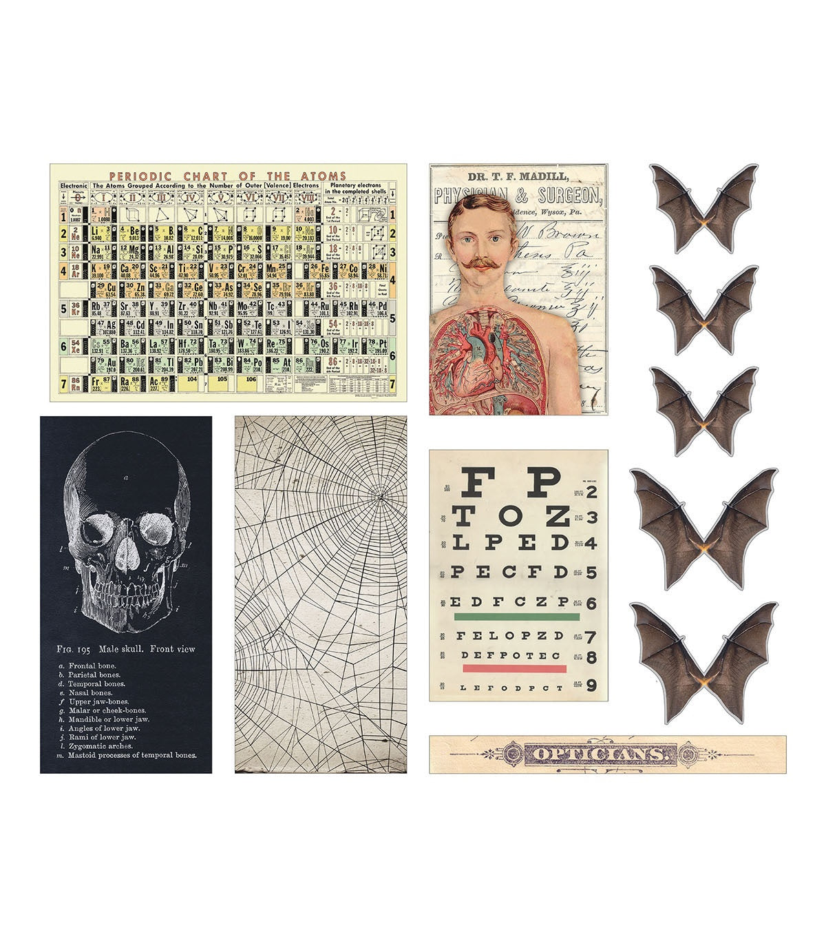 TIm Holtz idea-ology Halloween transparencies TH94272