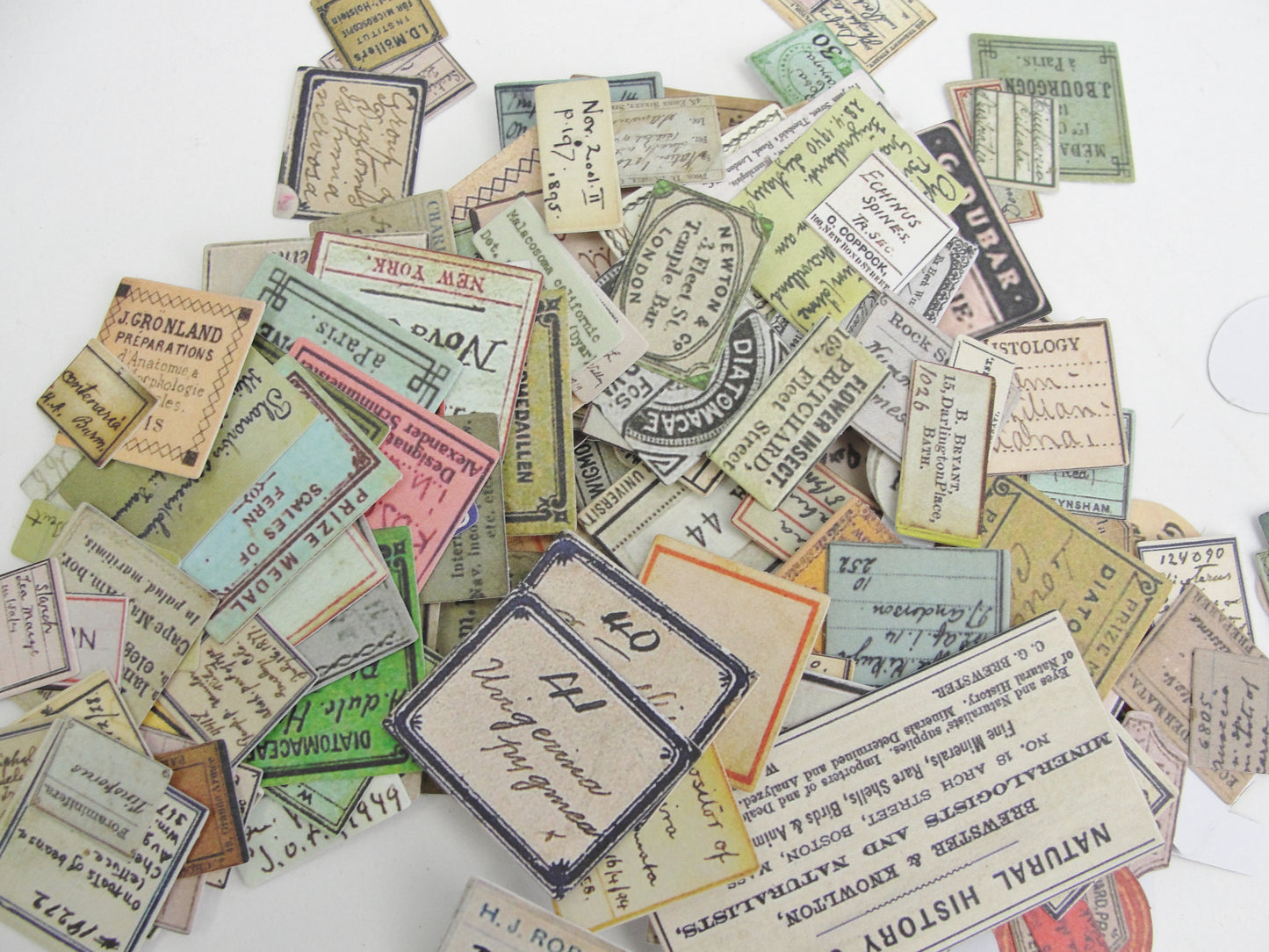 Tim Holtz Idea-ology Curator 2021 Snippets