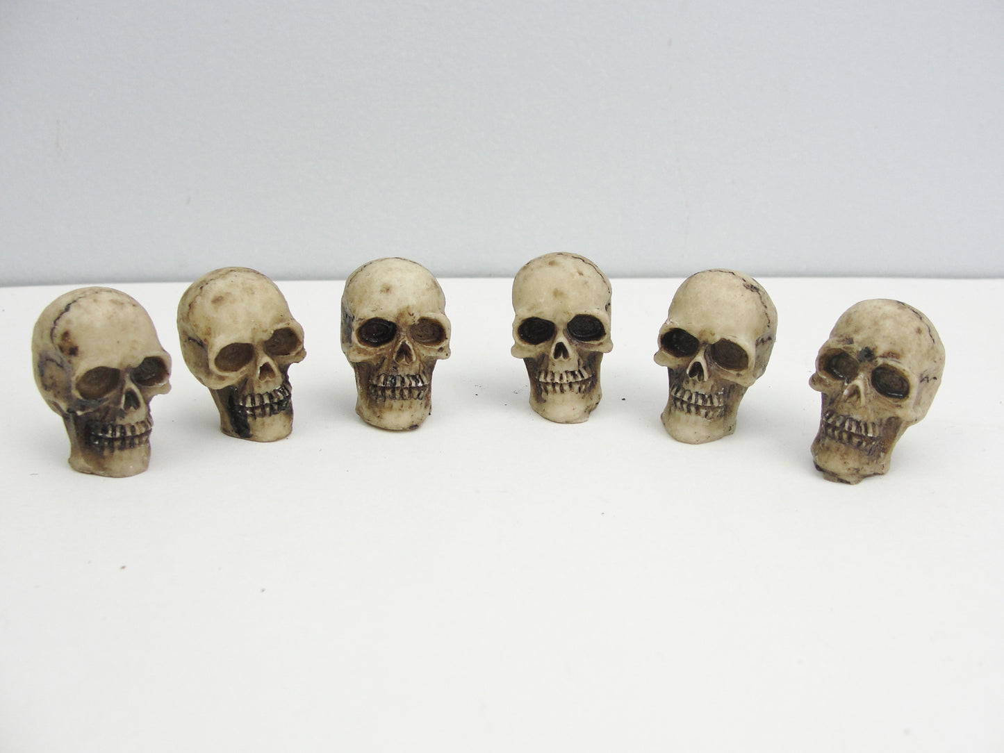 Tim Holtz idea-ology skulls TH94270