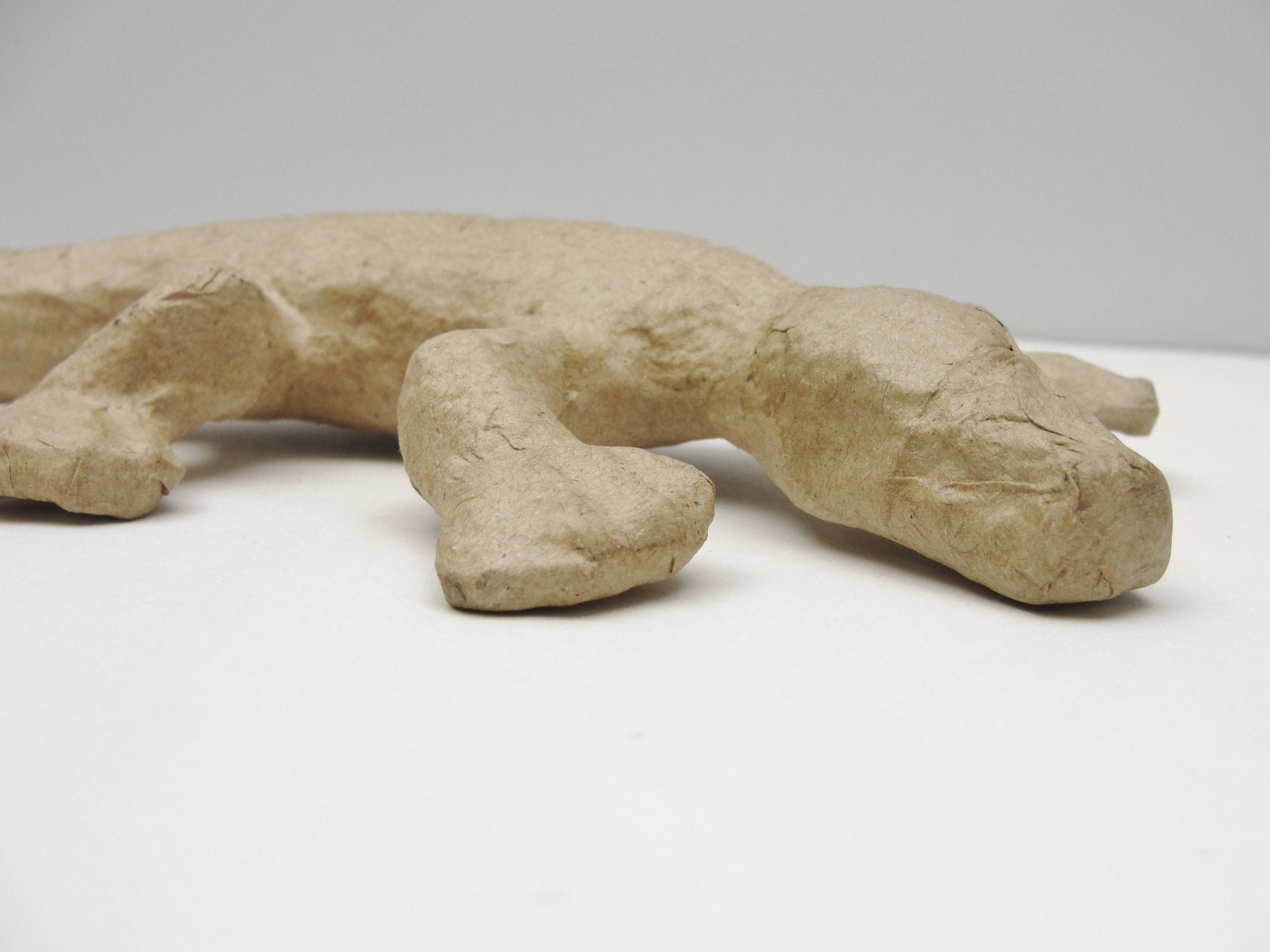 Small paper mache lizard or salamander - Paper Mache - Craft Supply House