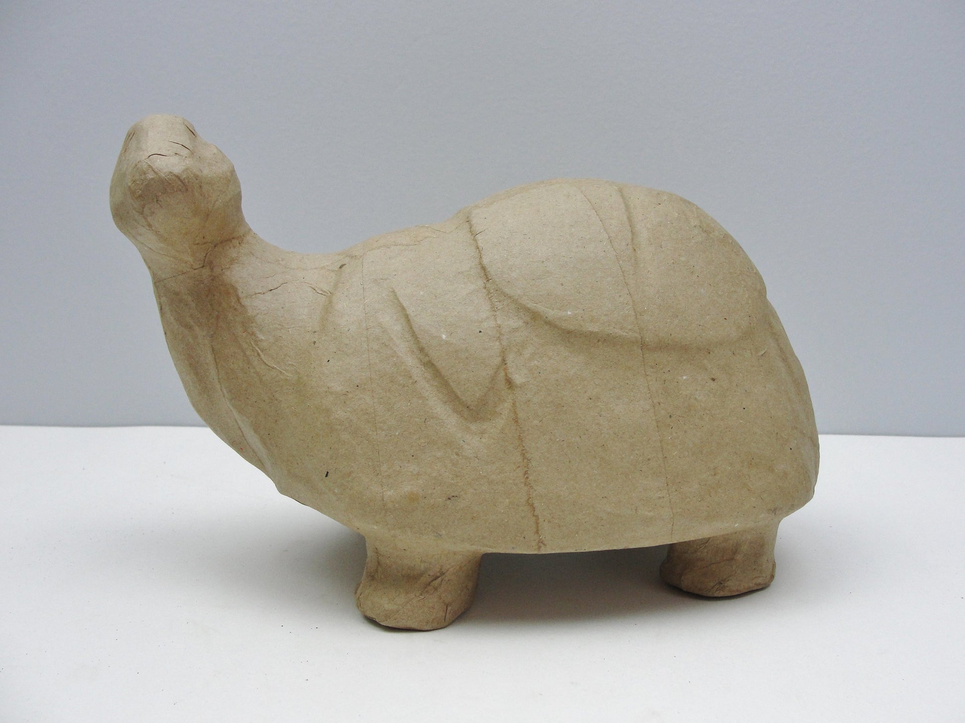 Paper mache turtle - Paper Mache - Craft Supply House