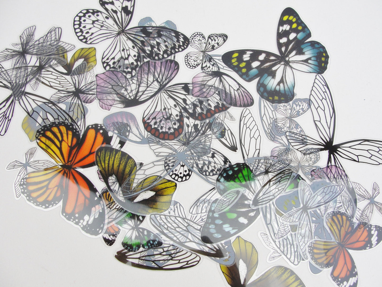 Tim Holtz transparent wings Idea-ology TH93785 - Mixed Media Art Supplies - Craft Supply House