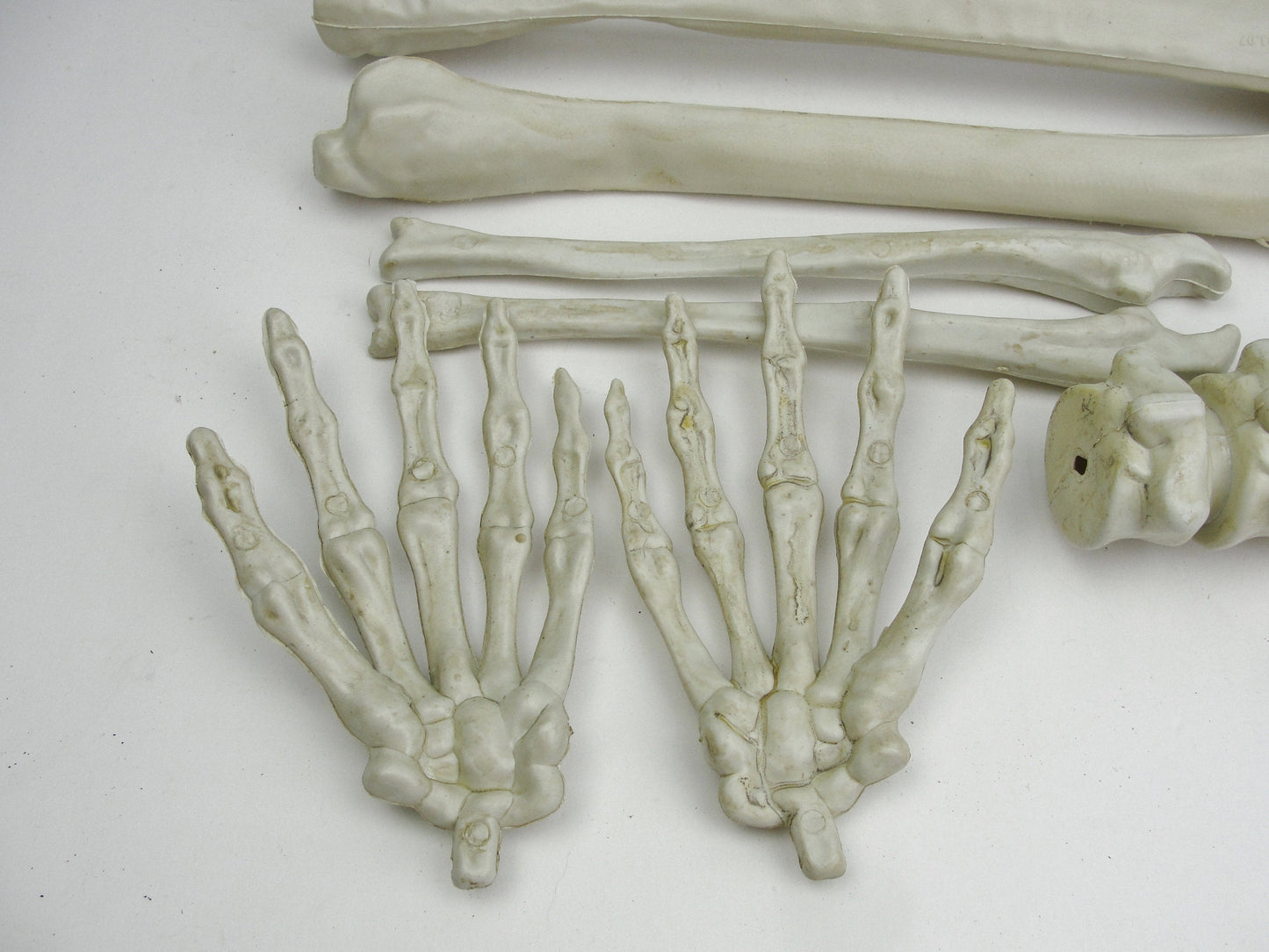 Bag of bones skeleton parts