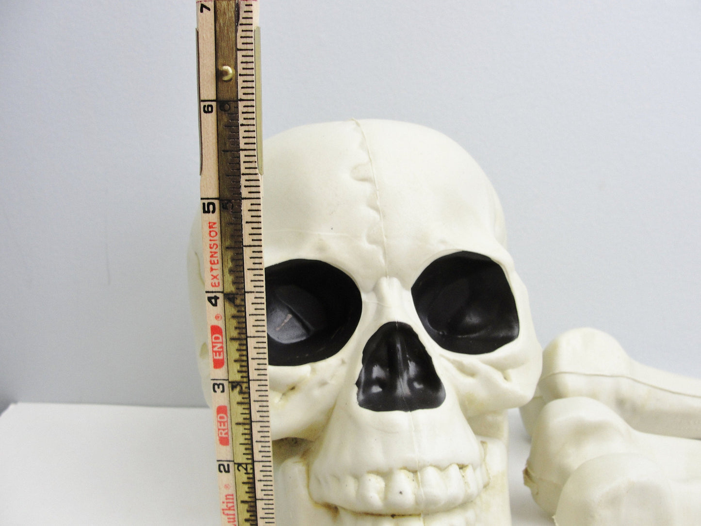 Bag of bones skeleton parts
