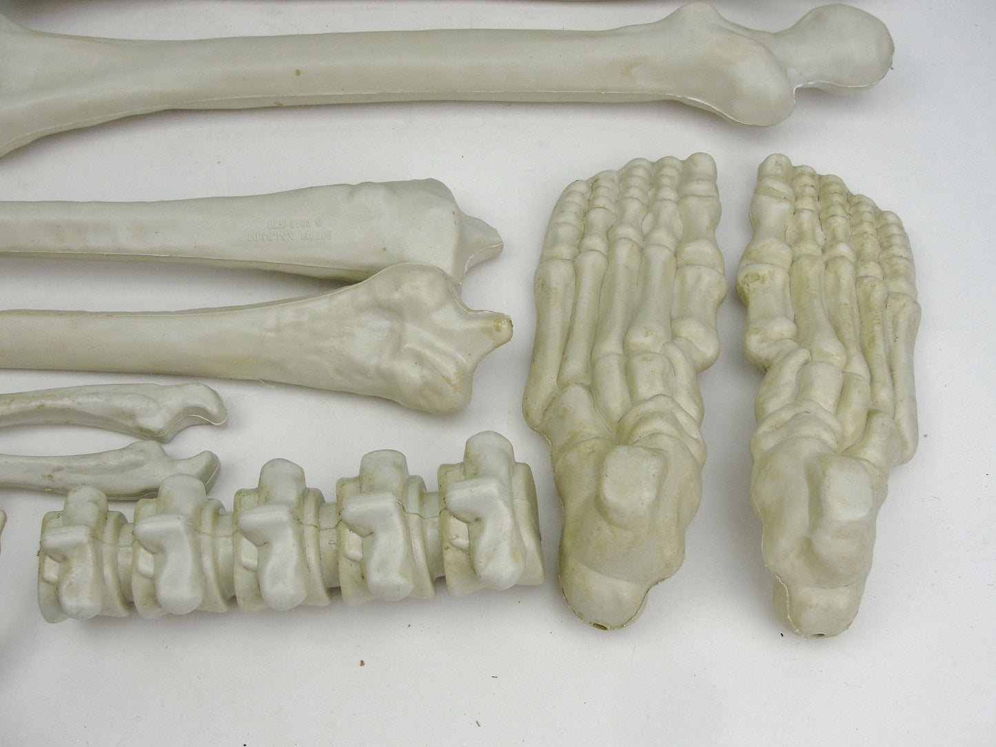 Bag of bones skeleton parts