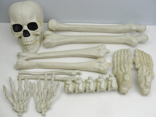 Bag of bones skeleton parts